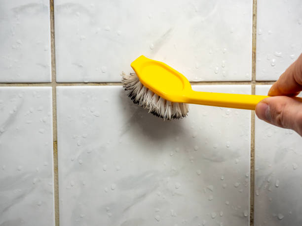 Best Professional Mold Removal  in White Bear Lake, MN