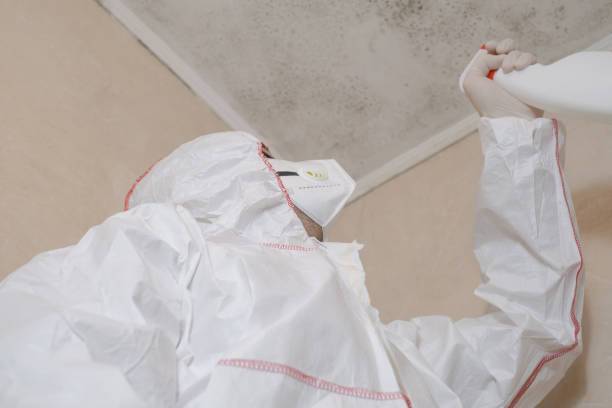 White Bear Lake, MN Mold Removal Company