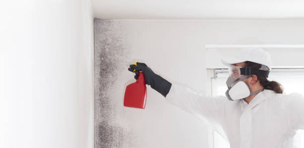 Water Damage Restoration in White Bear Lake, MN